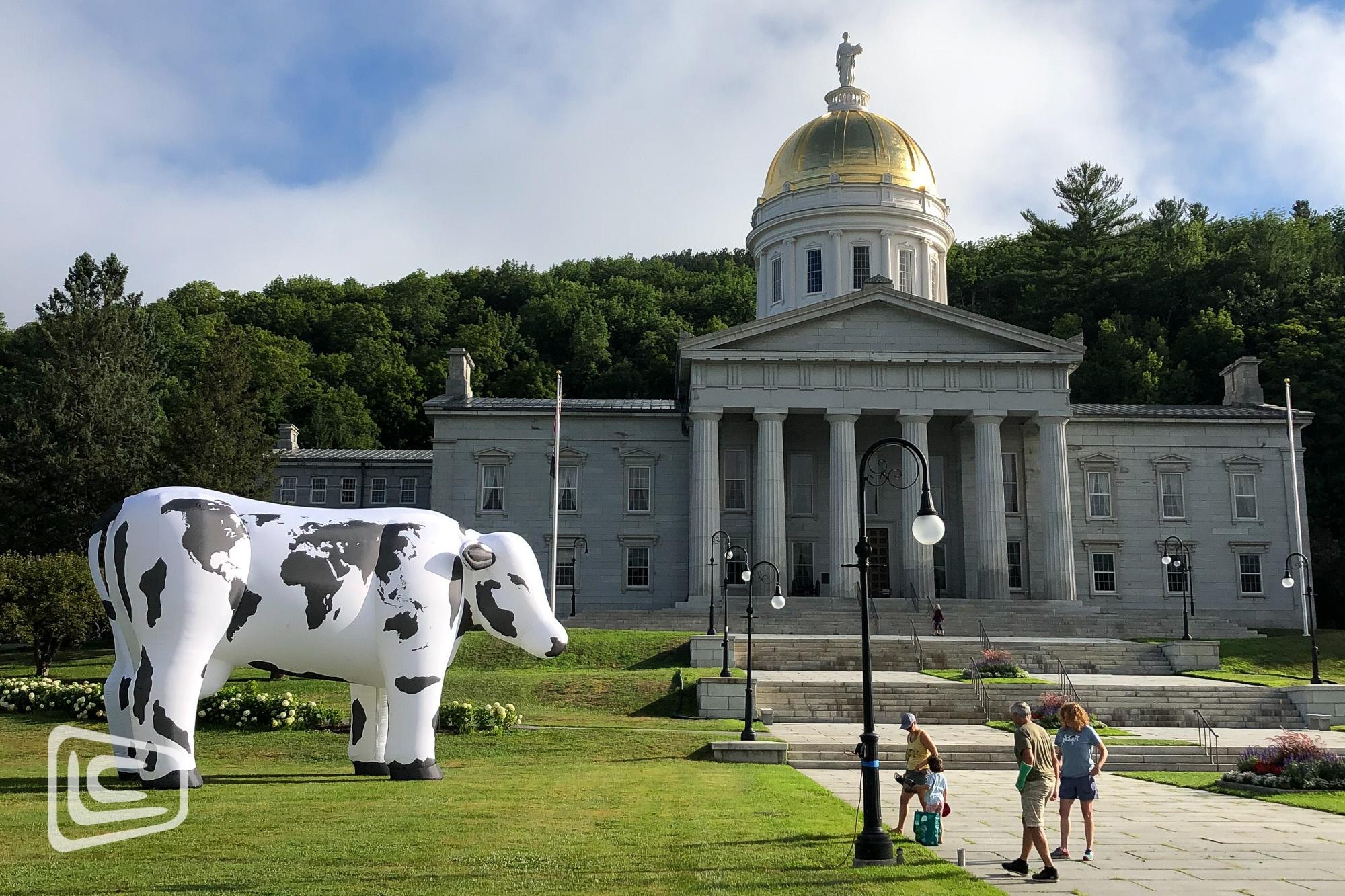 custom inflatable world cow in front of capital