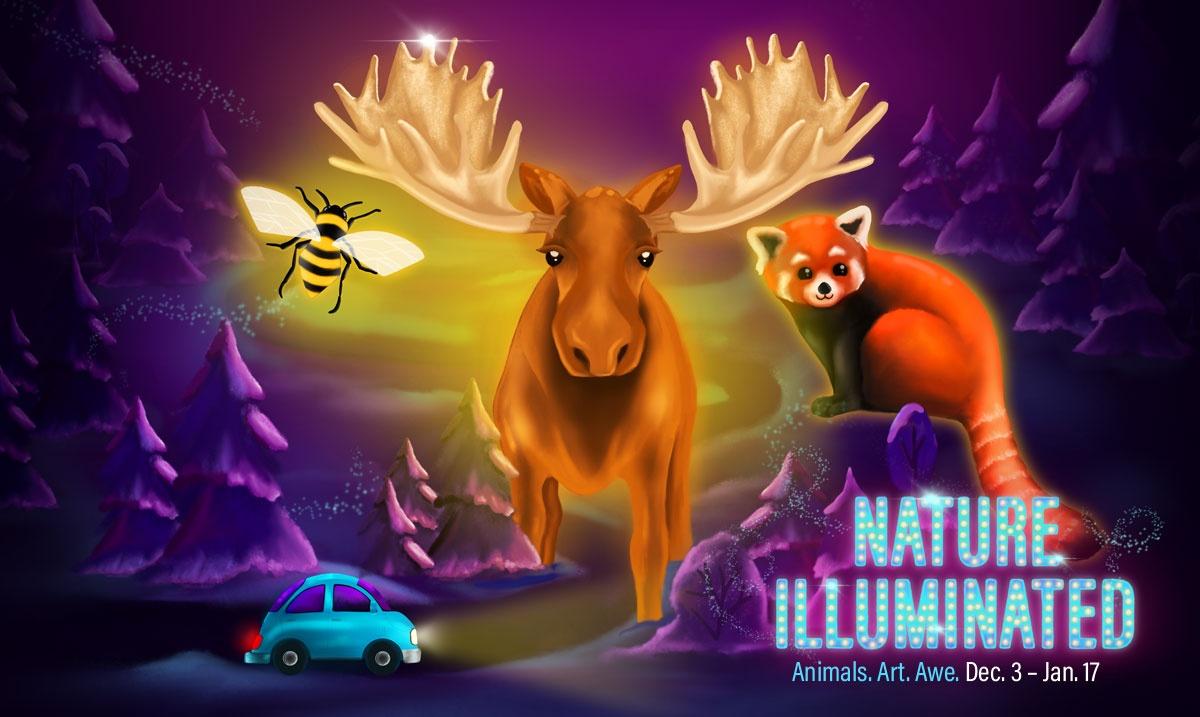 Nature Illuminated MNZoo Cover