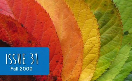 landmarketing issue 31 cover - fall leaves